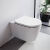 Wall Hung Toilets