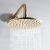 Shower Heads & Arms